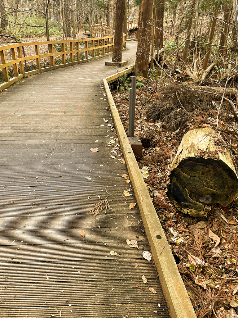 この先、動物園