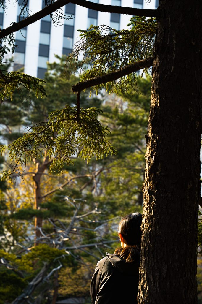 中島公園４−２５ー10