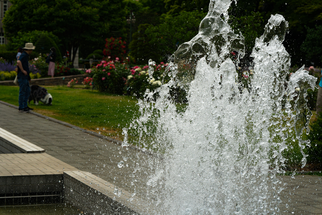 大通公園０６２７ー６