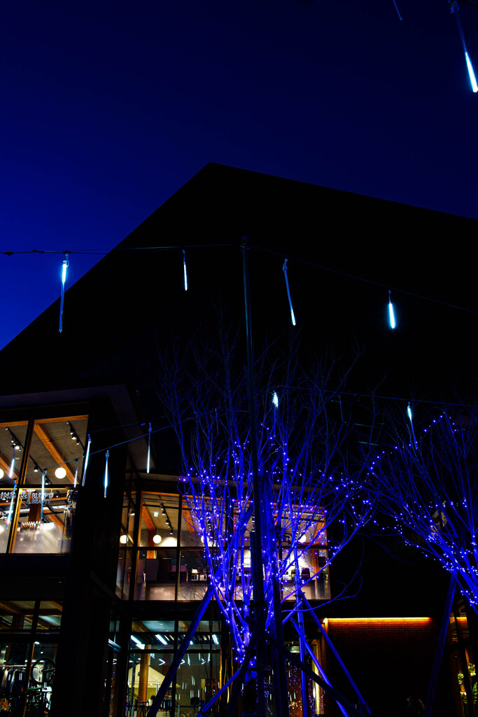 Fヴィレッジのイルミネーション