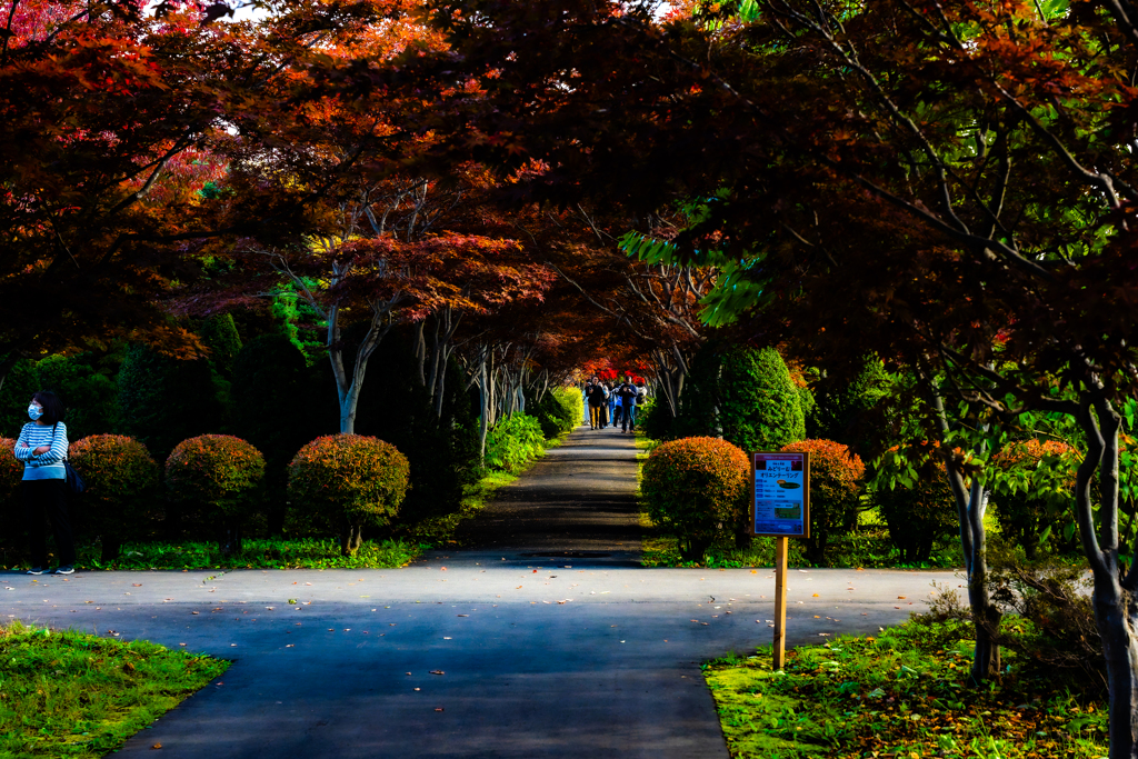 平岡樹芸センター