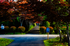 平岡樹芸センター