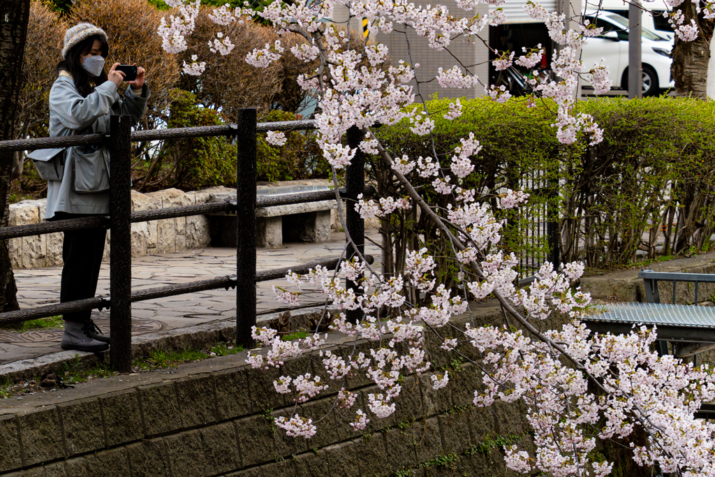 ススキノ界隈４−２５ー6