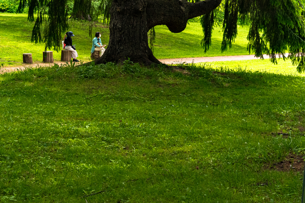 北大植物園０５２６４