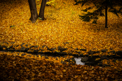 北海道知事公館前庭２