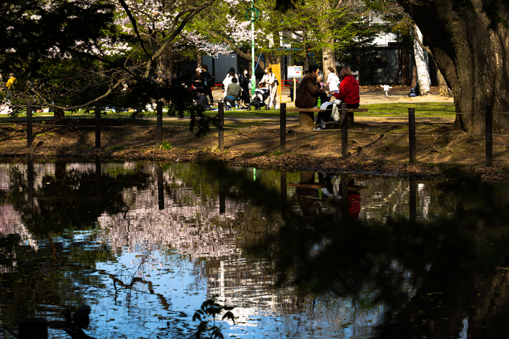 円山公園０４−２５ー３