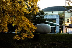 コンサートホールと「相響」