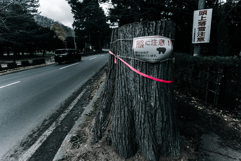 クマ注意１１２０３