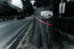 クマ注意１１２０３