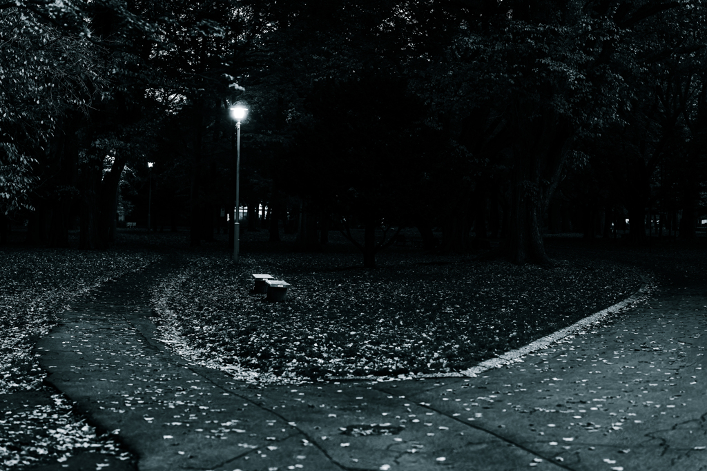 円山公園午後五時４