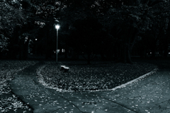 円山公園午後五時４