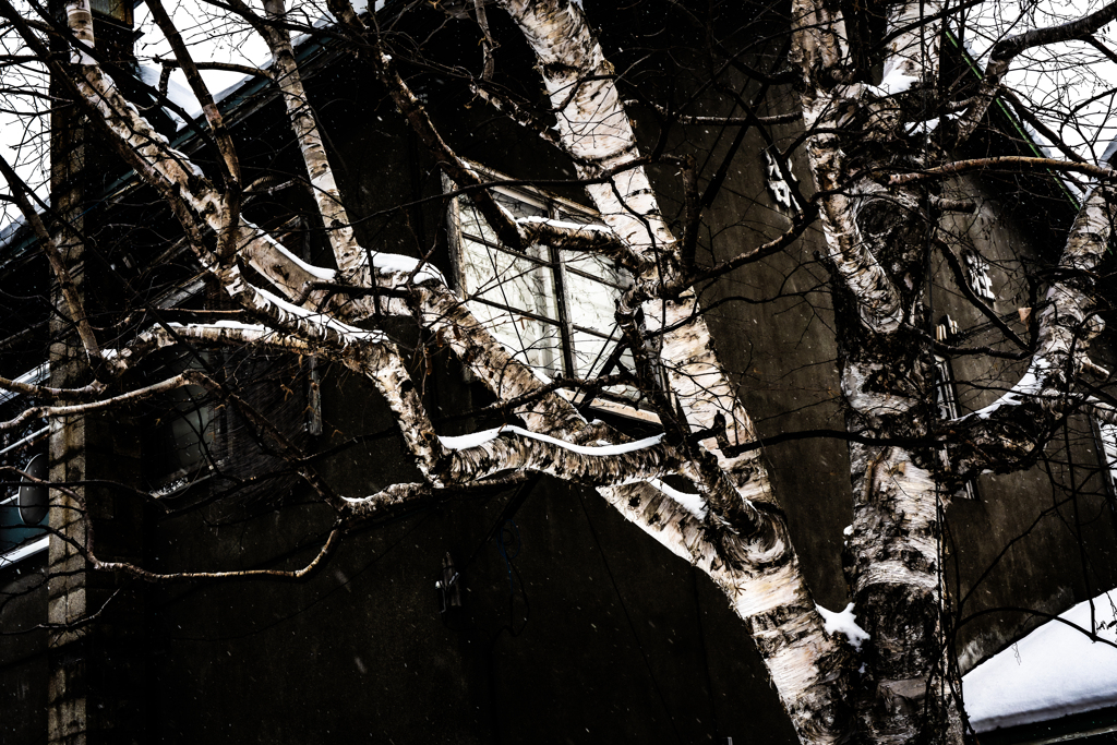 米領事館の隣のとなり