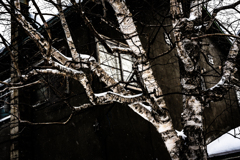 米領事館の隣のとなり