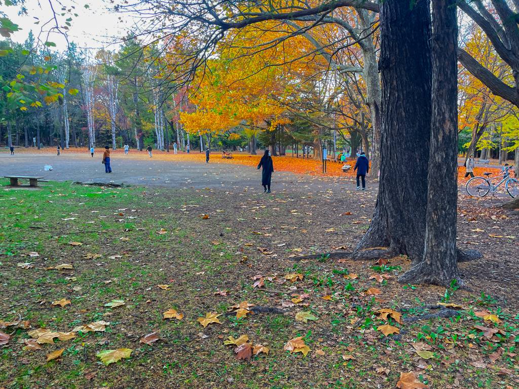 円山動物園への途中で