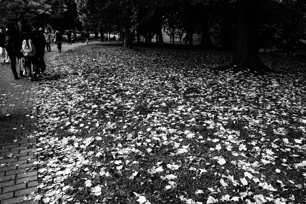 北大に行ってきた