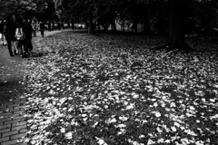 北大に行ってきた