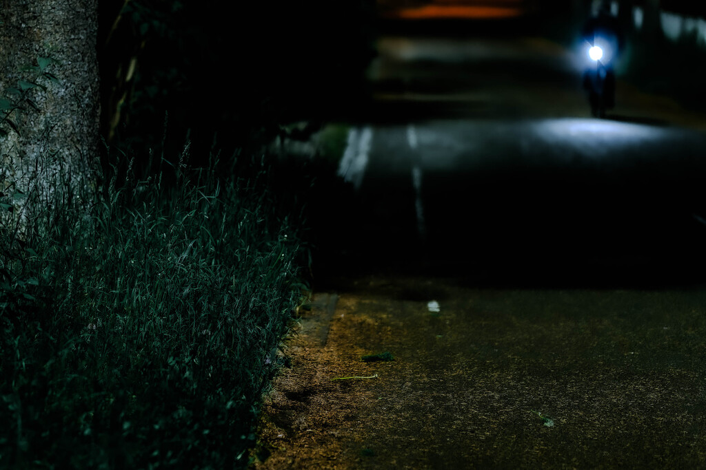 夜のサイクリングロード