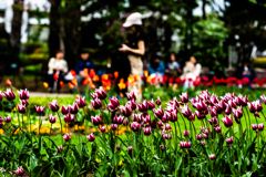 鬼ごっこのお母さん