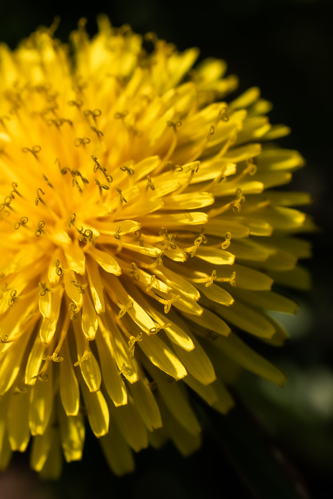 全部見せなくても