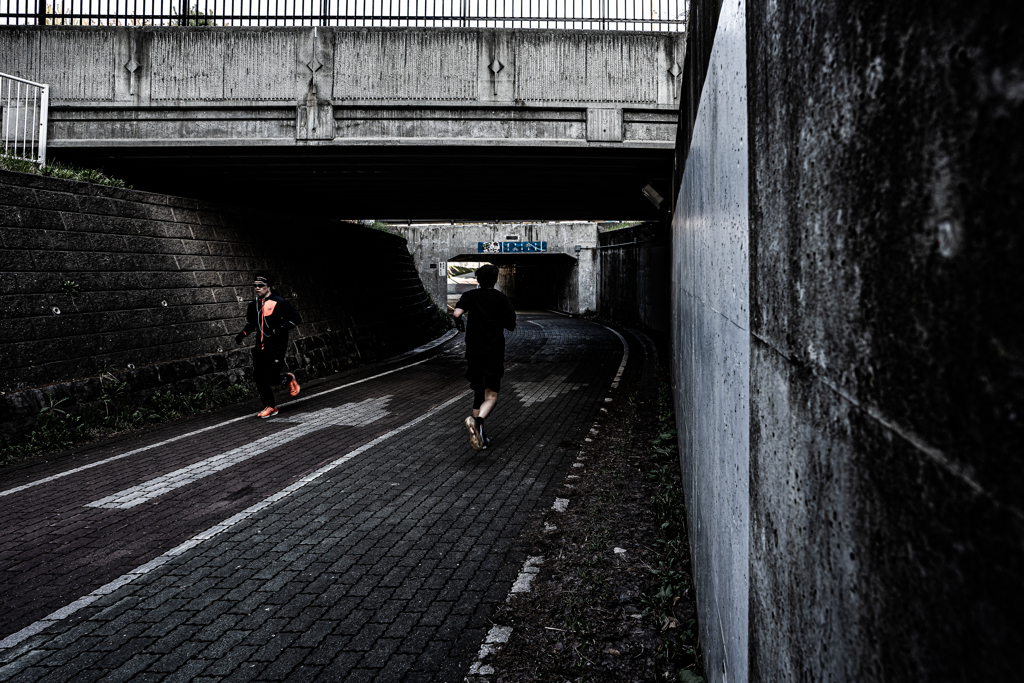 白石こころーどの桜８