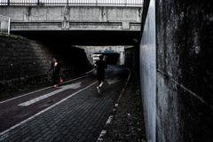 白石こころーどの桜８