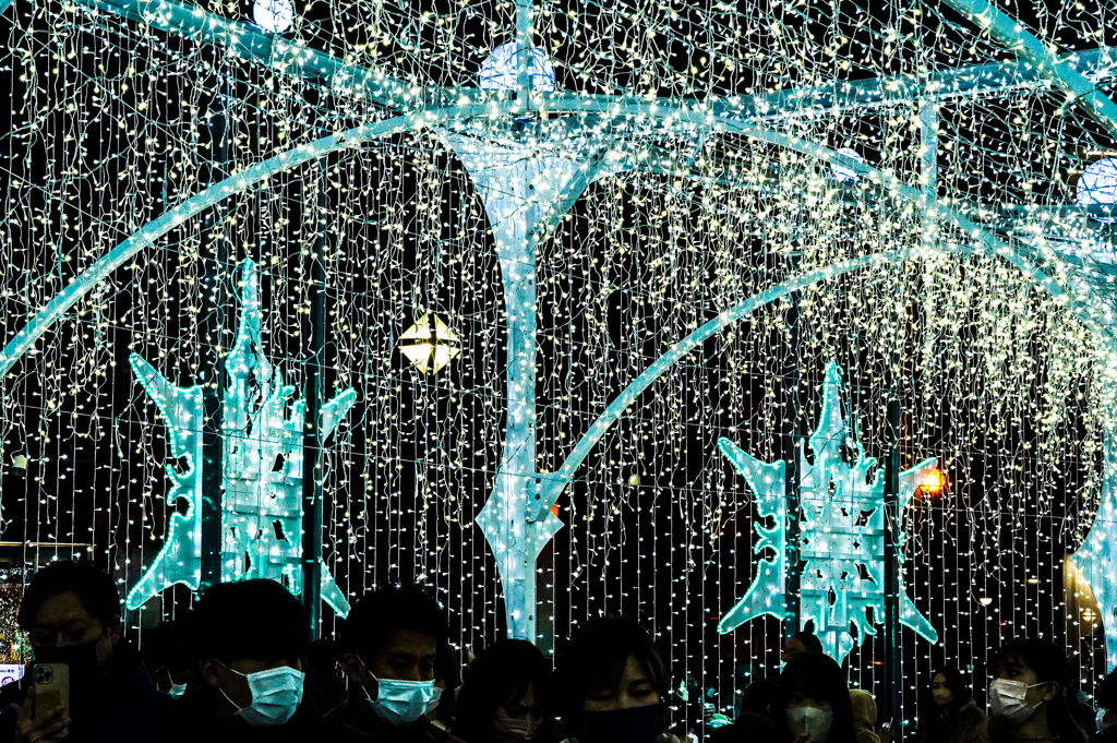 大通公園のイルミネーション