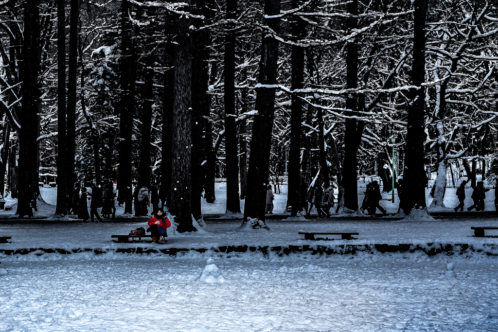 初詣の人たちが見える