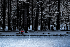 初詣の人たちが見える