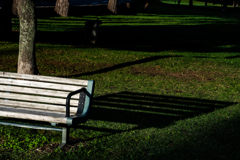 日差しを浴びるベンチ