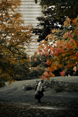 同じソニーのカメラマンだ