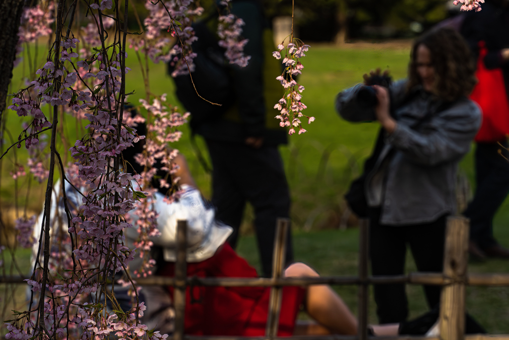 中島公園４−２５ー１２