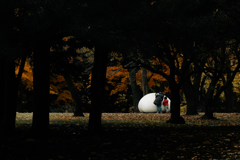 意心帰（いしんき）