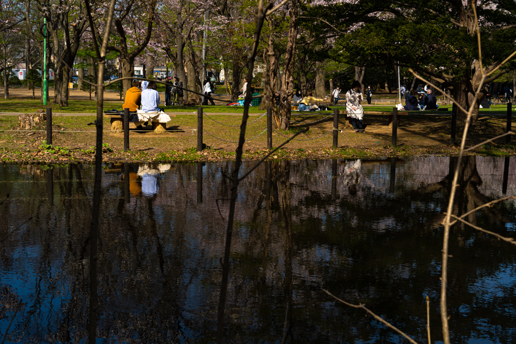 円山公園０４−２５ー２