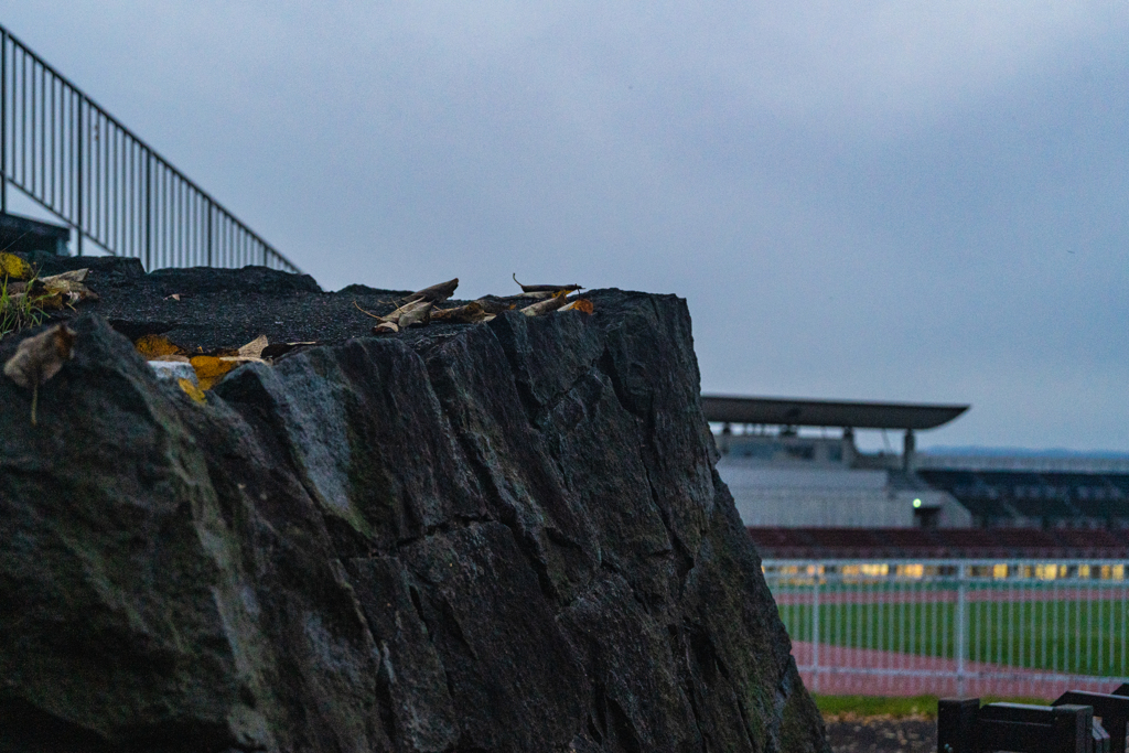 バックスタンド３