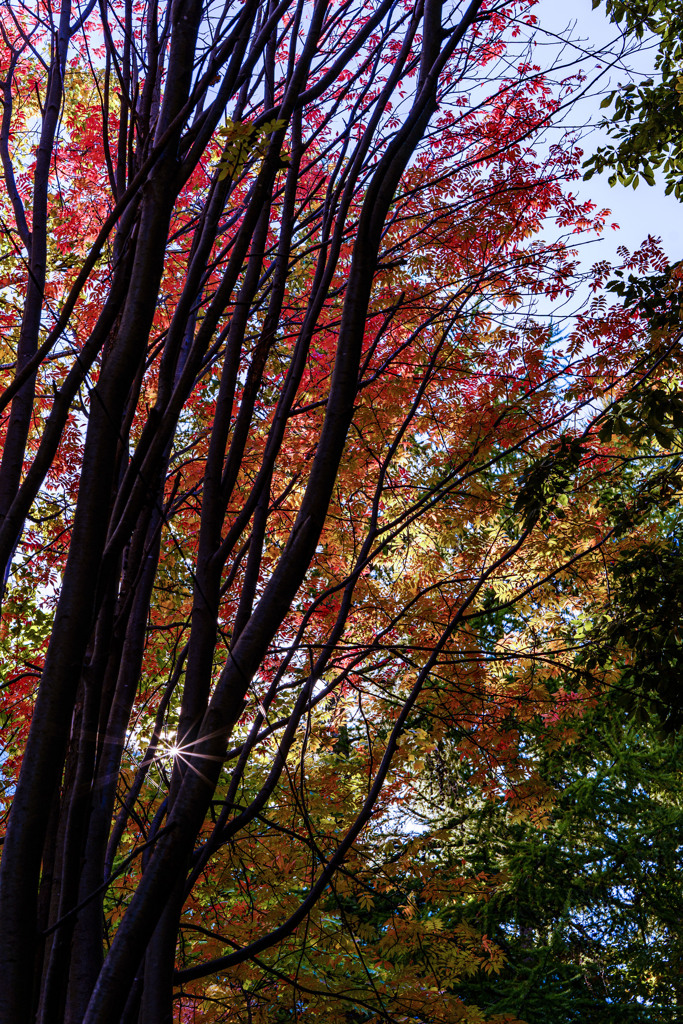 陽だまりロード2