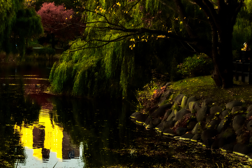 中島公園薔薇池のほとり