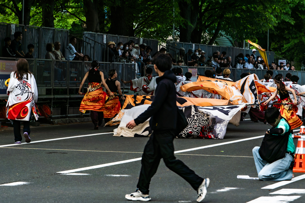 今なら横断できます