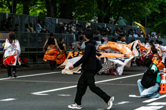 今なら横断できます