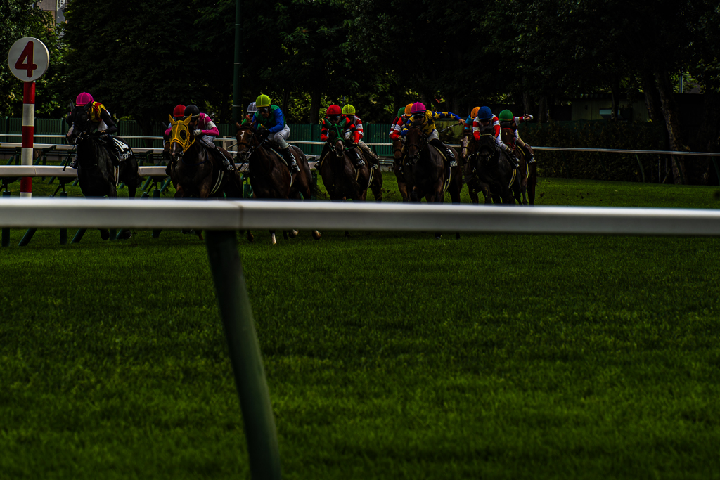 競馬場に行ってきた-3