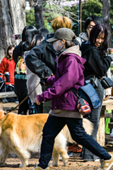 かわいい