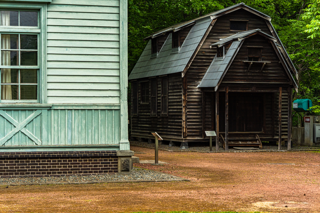 北大植物園０５２６６