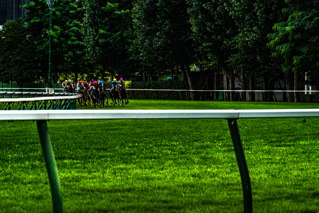 競馬場に行ってきた-2