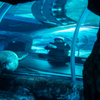 円山動物園５