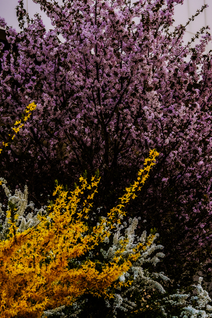 地下鉄自衛隊前駅近く