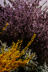 地下鉄自衛隊前駅近く