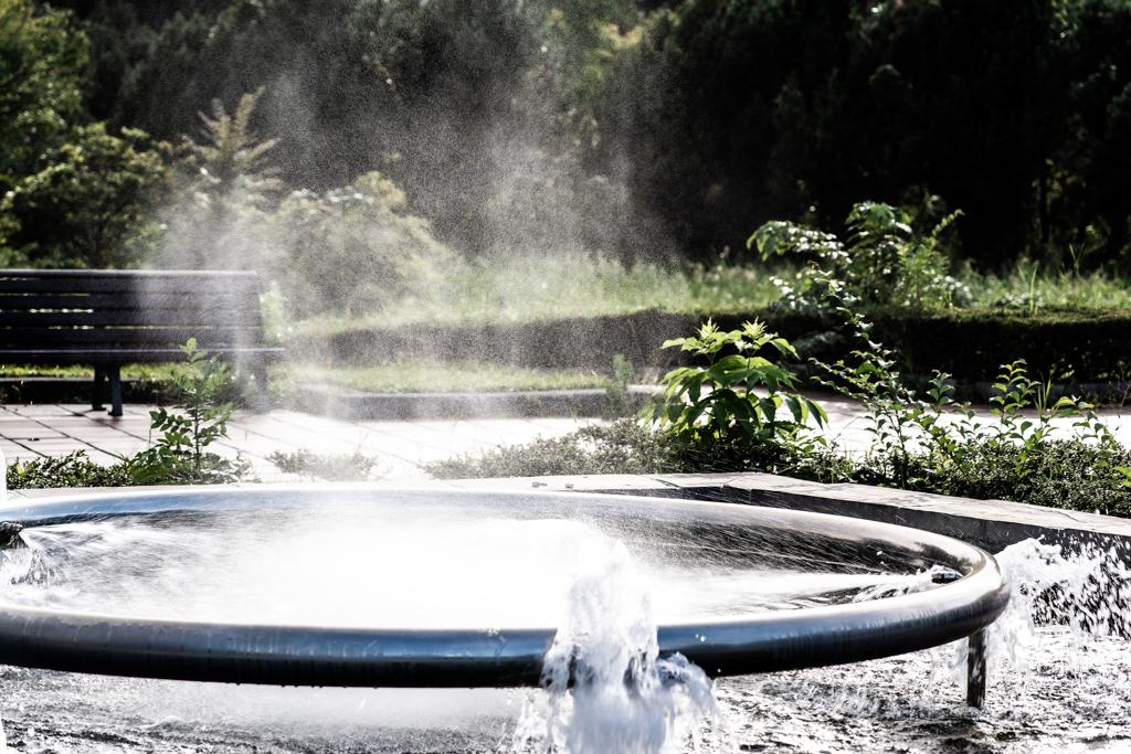 園内の噴水