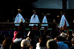 北海道神宮例祭1