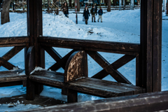 中島公園１２１４２