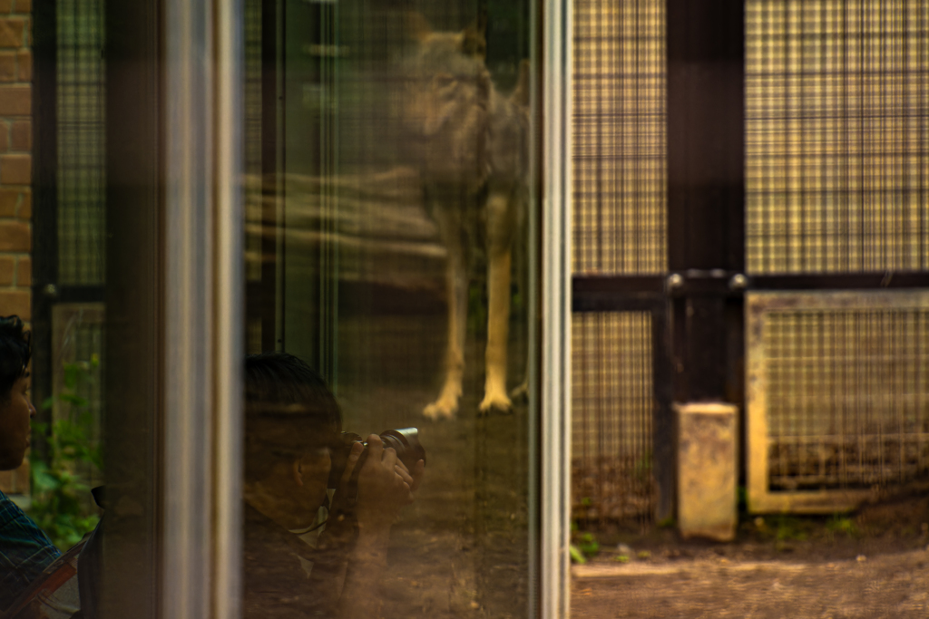 動物園０７０２ー１０