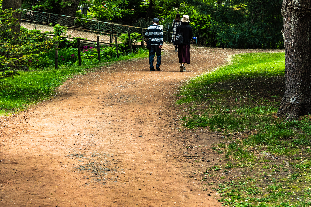 北大植物園０５２６１１